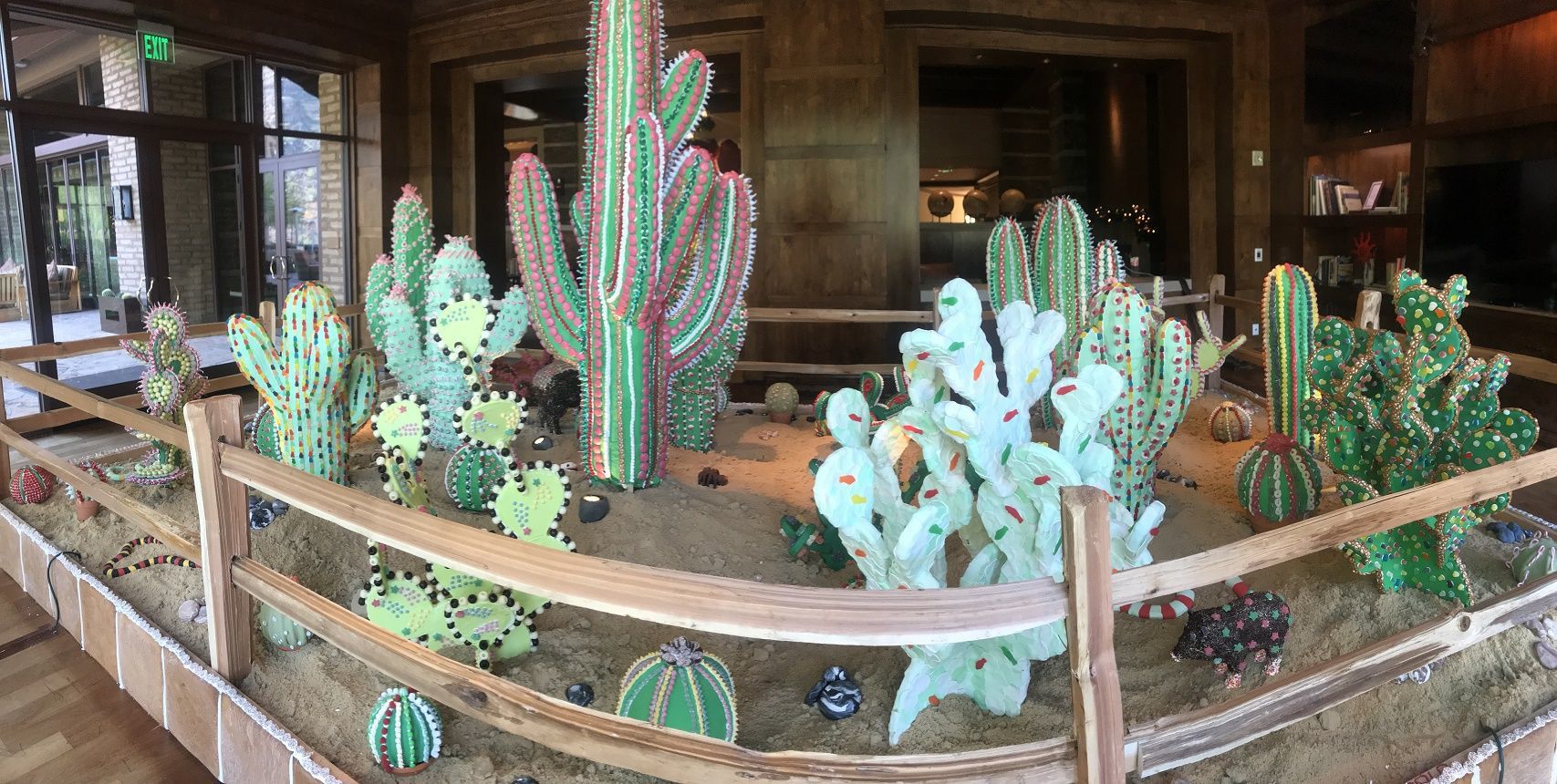 Viewing of the Sugary Sweet Candy Cactus Garden